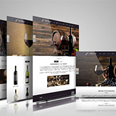 【嘉定網站設計】華夕SEO網絡優化網頁設計的新視角